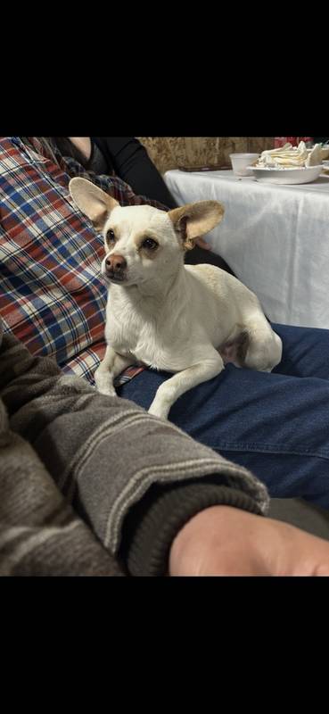 Nacho 