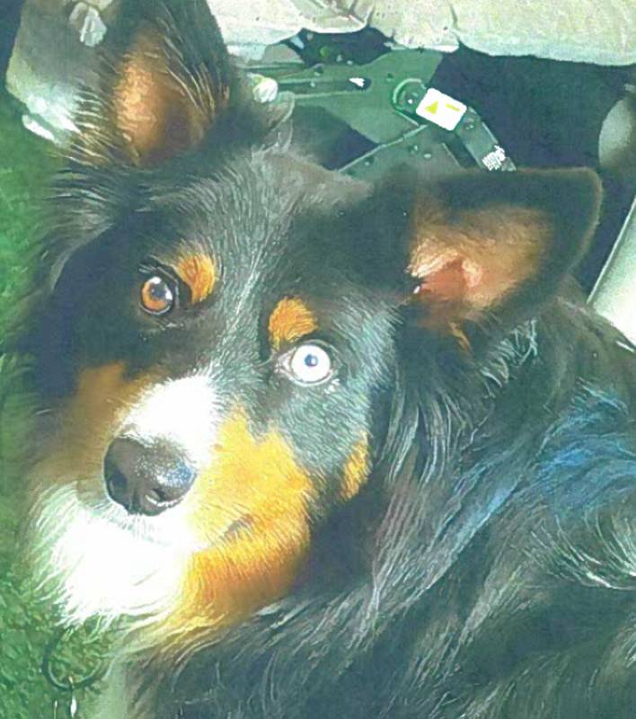 Max