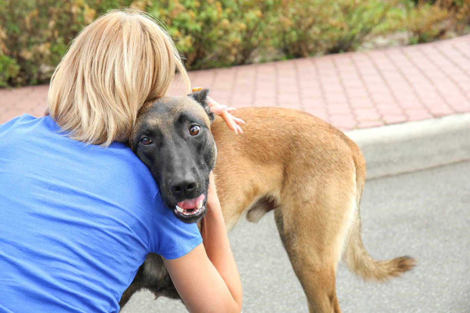 Yakima Humane Society