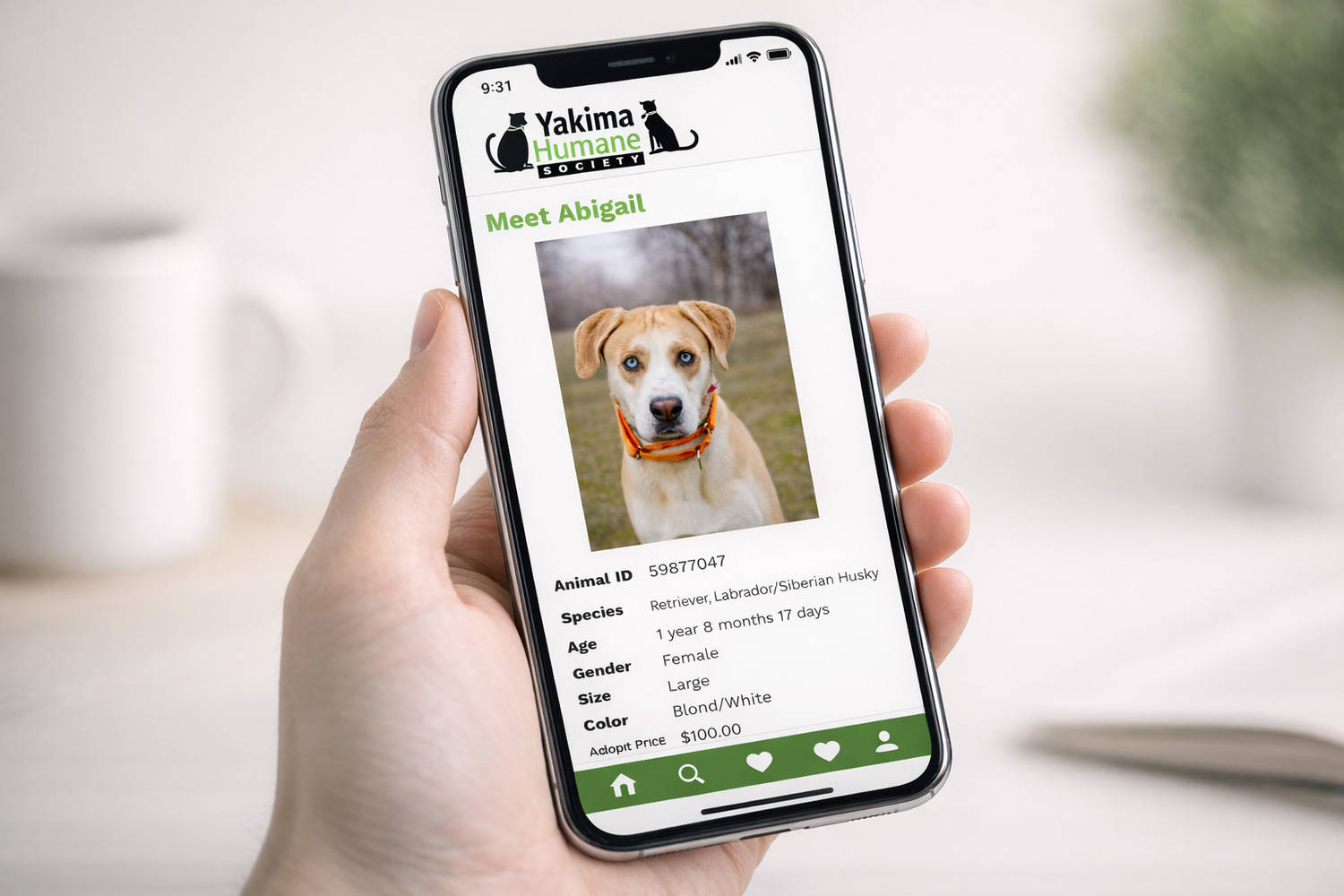 Virtual Foster Program