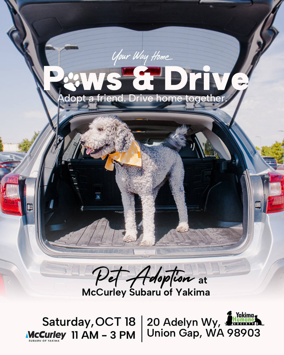 Subaru Loves Pets