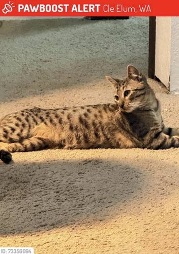 Nova 