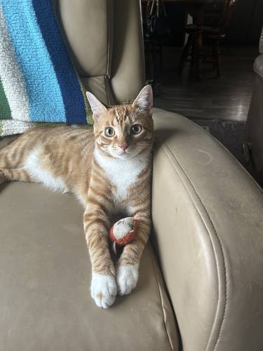 Rusty