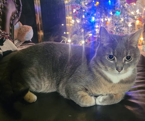 Moe