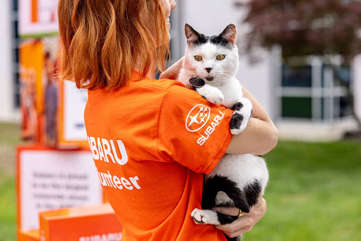Subaru Adoption Event