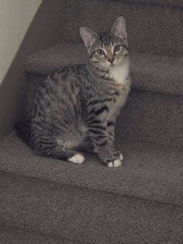 Ms. Misty