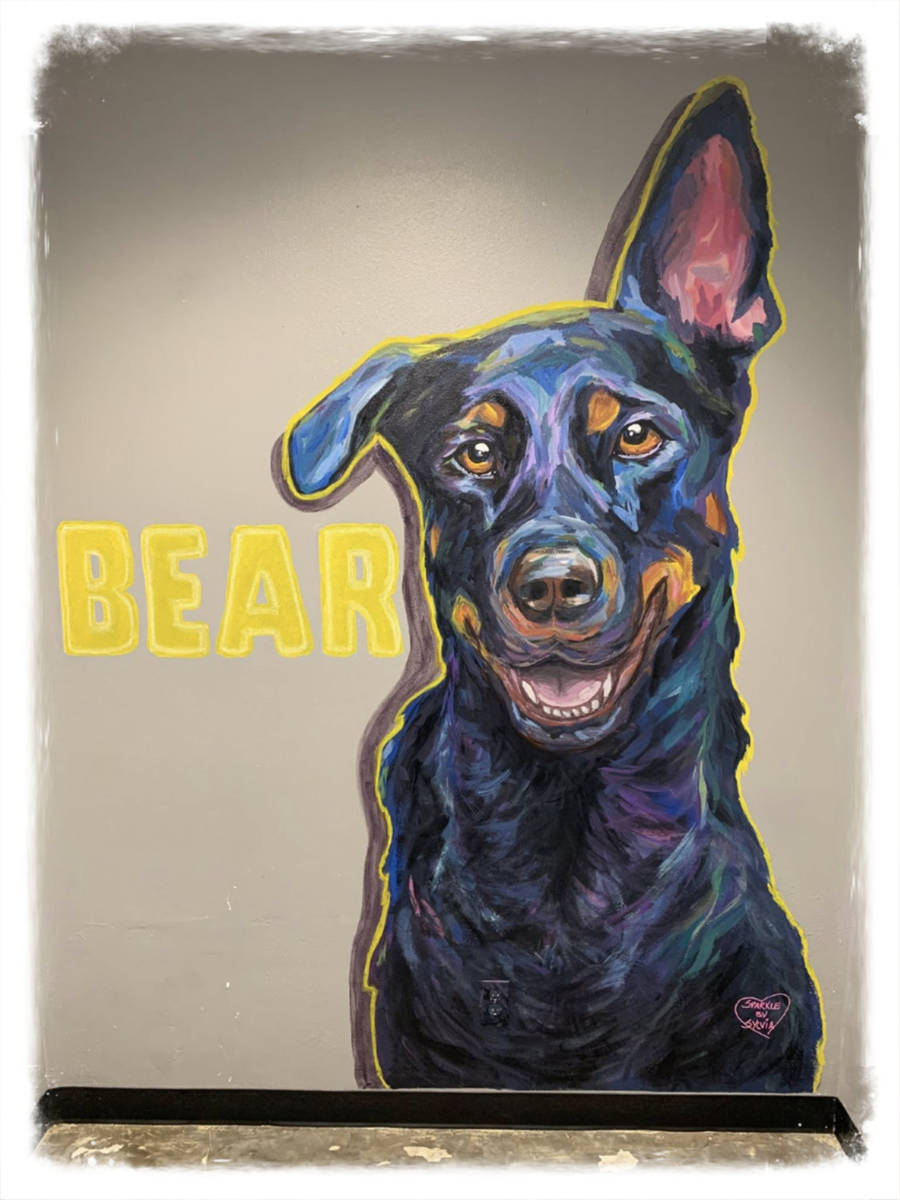 Paws on the Wall Mural Contest