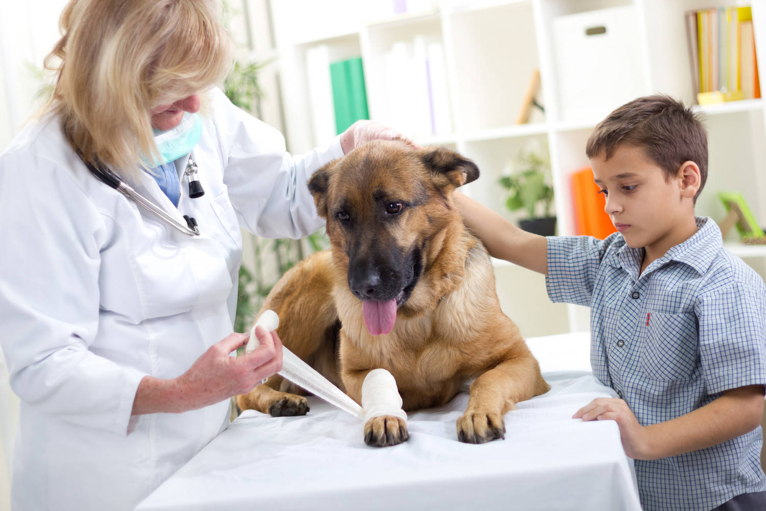 Emergency Medical Fund