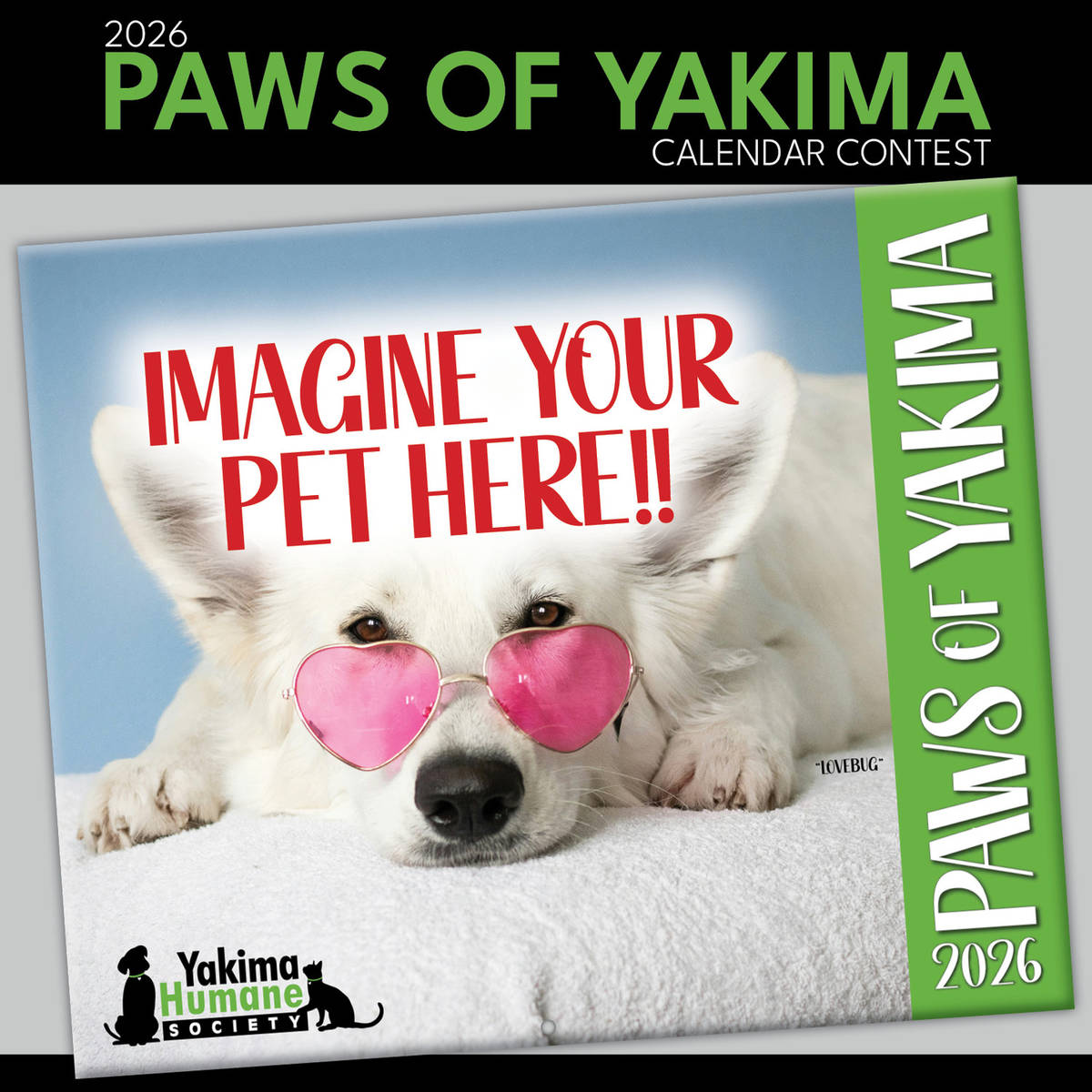 Paws of Yakima 2026 Calendar Contest