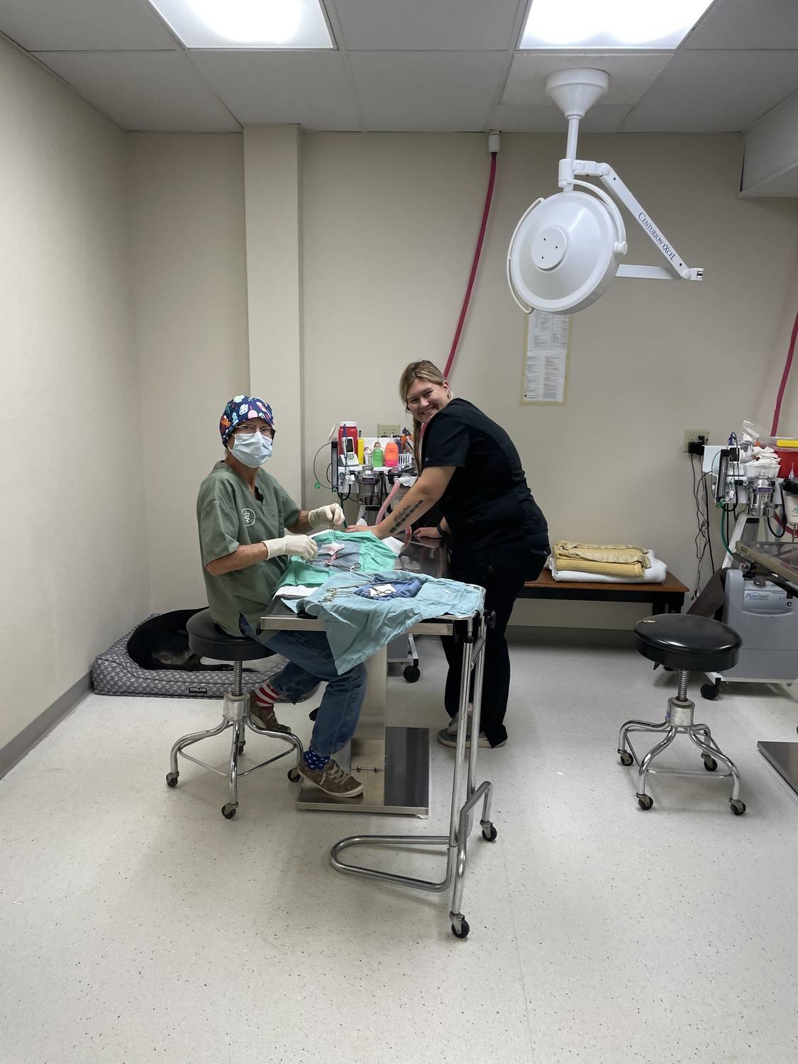 Spay and Neuter Clinic