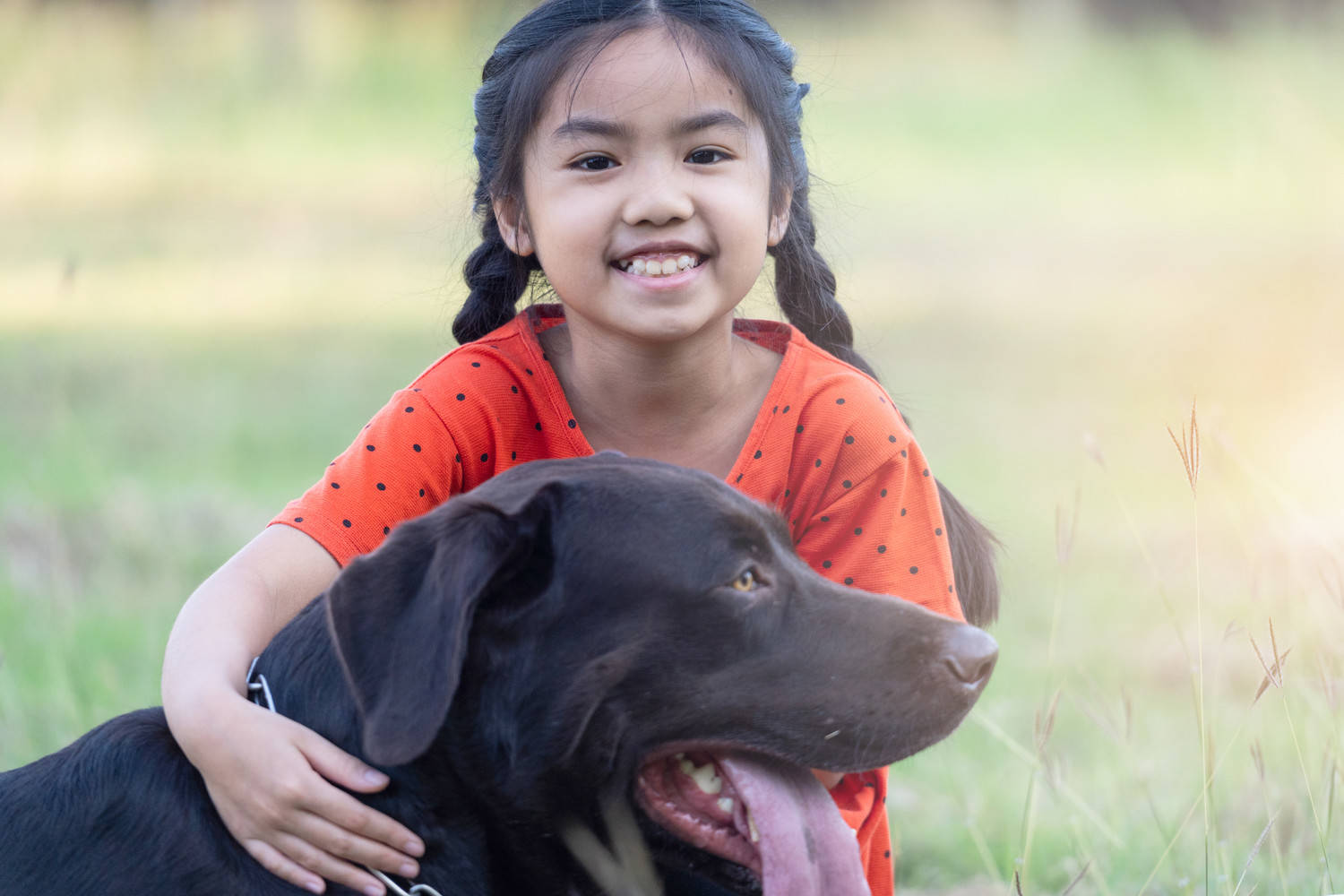 Pet Licensing in Yakima