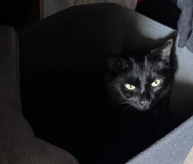 Percy