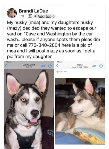 mea