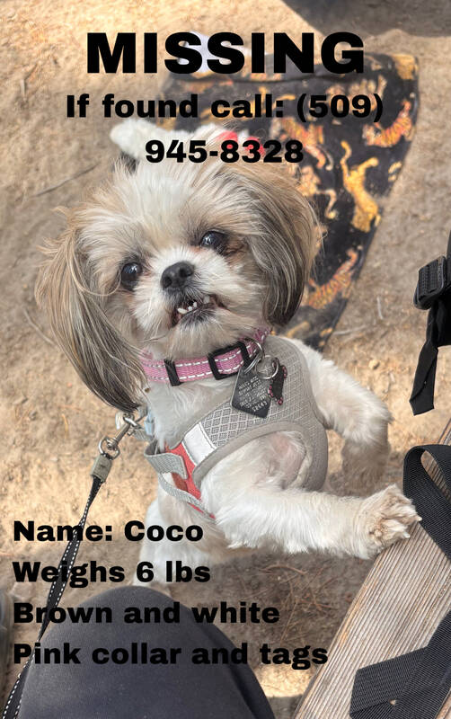 Coco 