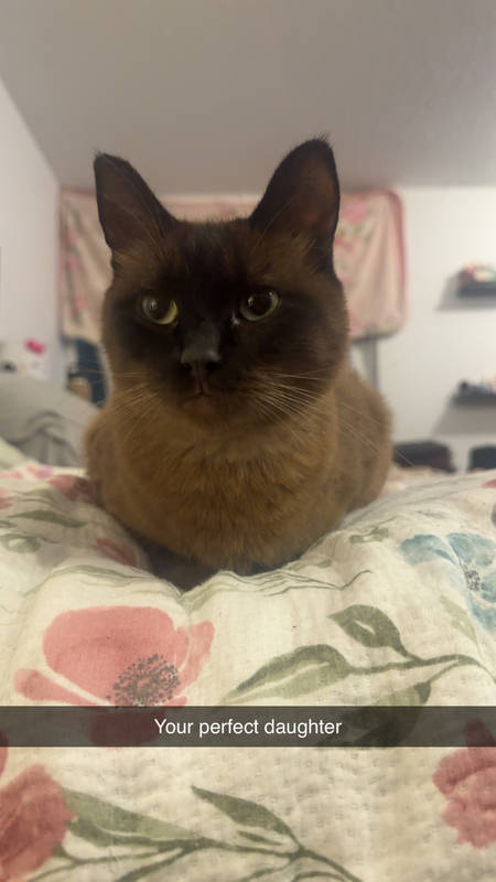 Indica 
