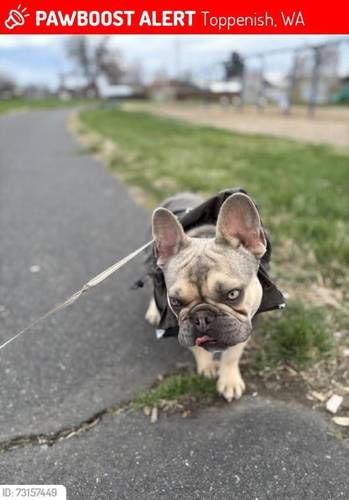 Milo