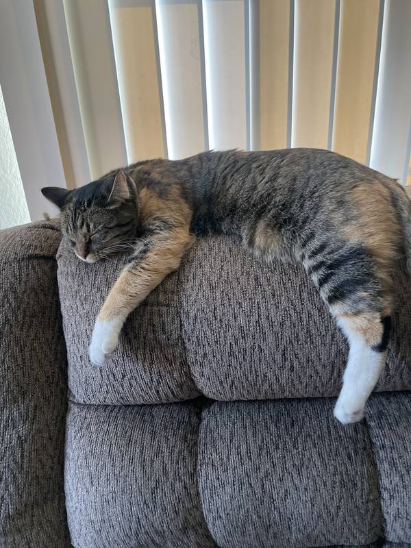 Suki
