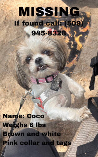 Coco 