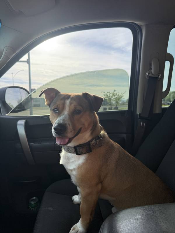 Chico