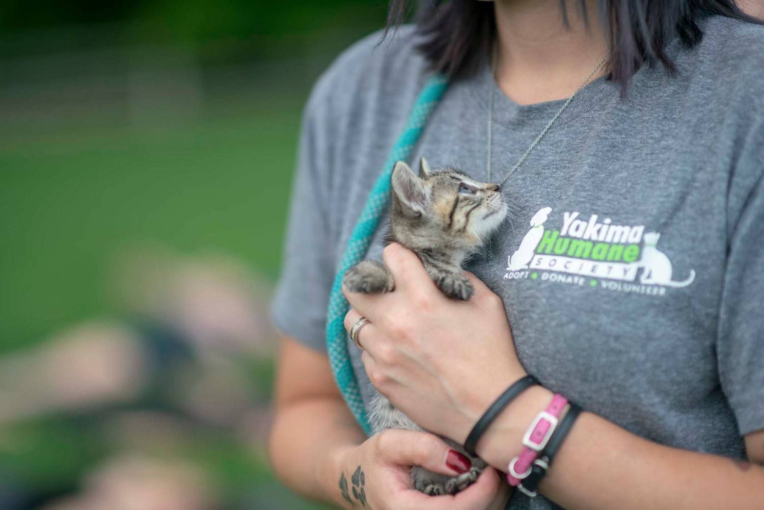 Schedule Your Spay and Neuter Appointment Today