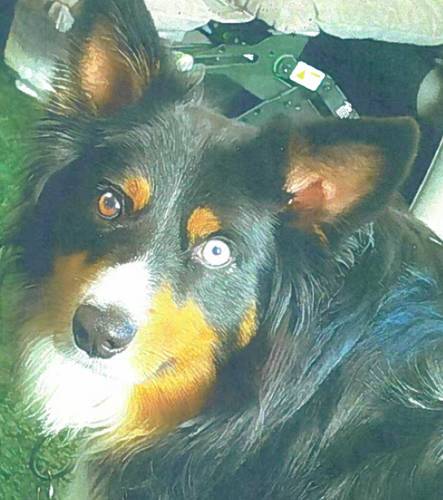 Max