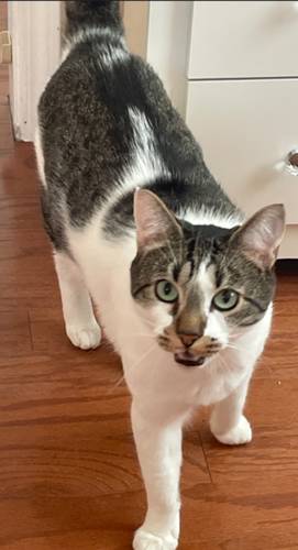 Milo