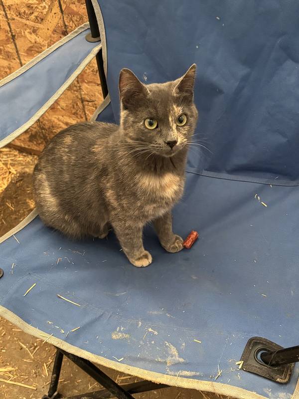 LULU