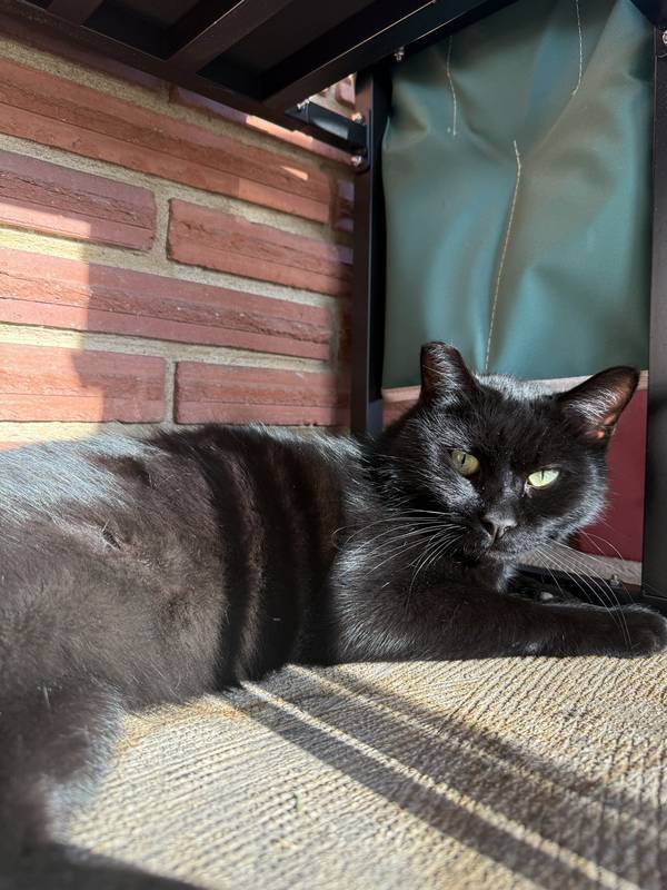 Binx